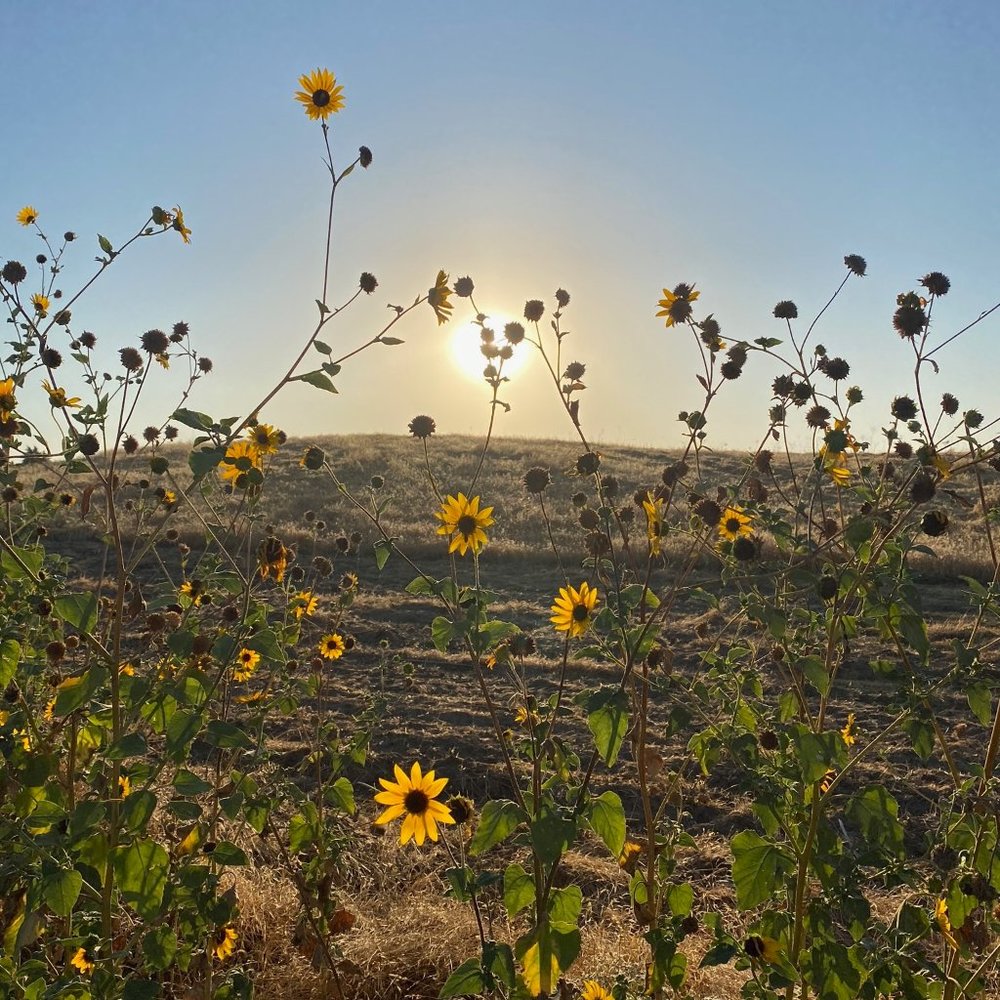 Hi, I’m Princess! ♥️